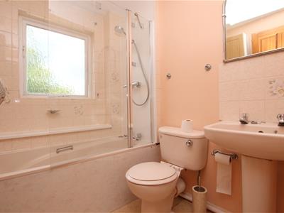Picture 10